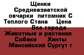 Щенки Среднеазиатской овчарки (питомник С Теплого Стана) › Цена ­ 20 000 - Все города Животные и растения » Собаки   . Ханты-Мансийский,Сургут г.